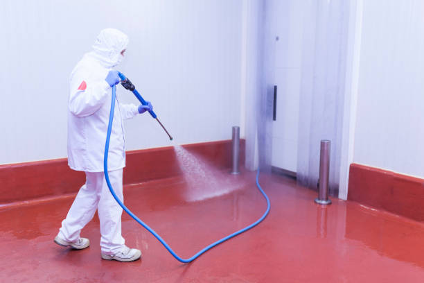 Best Post-Construction Pressure Washing  in Bernie, MO